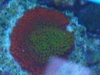RSCN0480.jpg