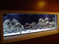 DSC06916.jpg