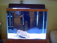 Sesame Place 7-14-07 and other pictures taken in 7-2007 100.jpg