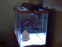 Sesame Place 7-14-07 and other pictures taken in 7-2007 102.jpg