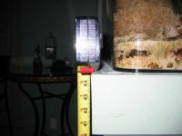height measurement.jpg