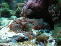 DSCF0199.jpg