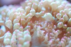DSC_0007.jpg