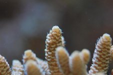 DSC_0008.jpg