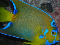 DSCN0480.jpg