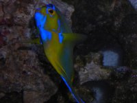 DSCN0479.jpg
