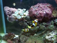 100_1017.jpg