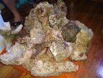DSC03892.jpg