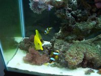 100_1018.jpg