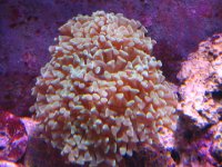 IMG_1263.jpg