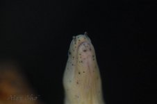 DSC_0027.jpg
