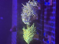 IMG_4613.jpeg