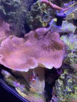 IMG_3694.jpeg