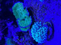 IMG_3647.jpeg