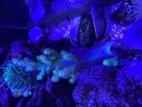 IMG_3178.jpeg