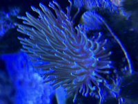 IMG_4120.jpeg