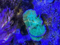 IMG_3624.jpeg
