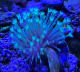 IMG_4133.jpeg