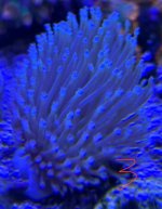 IMG_4135.jpeg
