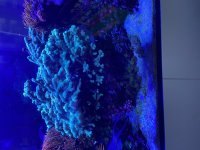 IMG_7100.jpeg