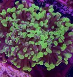 IMG_8842.jpeg