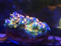 IMG_2953.jpeg