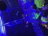 IMG_5397.jpeg