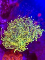 IMG_7149.jpeg