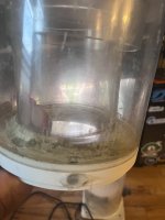 IMG_3488.jpeg IMG_3488.jpeg