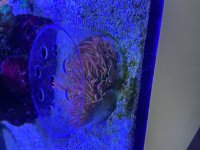 IMG_7482.jpeg
