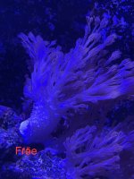 IMG_2536.jpeg