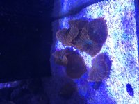 IMG_1663.jpeg