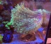 WhatsApp Image 2024-07-25 at 09.40.56_0a7fdbd5.jpg