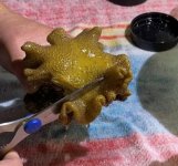 WhatsApp Image 2024-07-25 at 09.40.57_ca8e8ef6.jpg