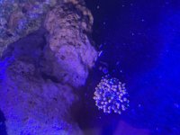 IMG_2651.jpeg