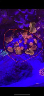 IMG_6426.jpeg