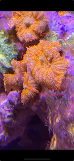 IMG_6443.jpeg