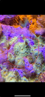 IMG_6444.jpeg