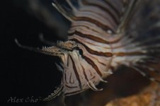 DSC_0029.jpg
