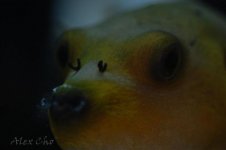 DSC_0046.jpg