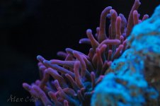 DSC_0015.jpg