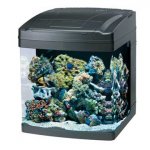 biocube8.jpg