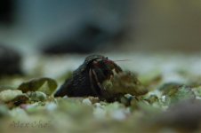 DSC_0006.jpg
