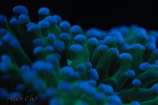 DSC_0029.jpg