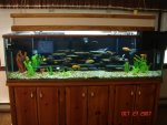 kids and tank 015.jpg