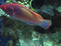 7-27-08 008.JPG