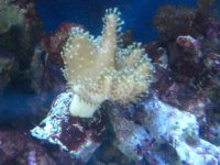 IMG_0389.jpg