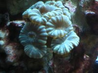 IMG_0394.jpg