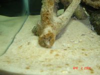 Picture 090 Standard e-mail view.jpg