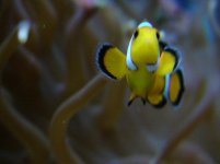 DSC01120.JPG
